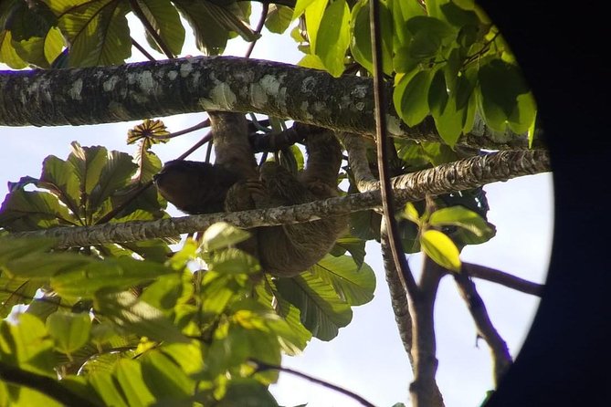 The Sloth Trail in La Fortuna, Arenal Volcano